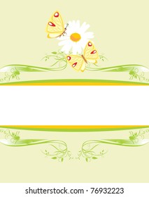 Chamomile and butterflies on the decorative frame. Vector
