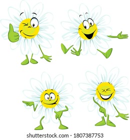 Chamomile Cartoon - Funny Vector Illustration