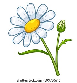 Chamomile cartoon style, vector art and illustration.