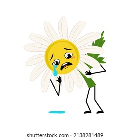 Chamomile character with crying and tears emotion, sad face, depressive eyes, arms and legs. Person with melancholy expression, daisy flower. Vector flat illustration