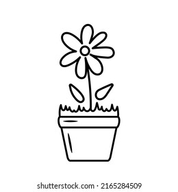 Chamomile in a clay pot. Vector illustration in doodle style. Isolated funny clipart on white background. Cute summer print. Sticker. Coloring book element