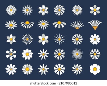 Chamomile collection. Botanical flowers set healthy stylized herbas cartoonic blossom chamomiles recent vector flat pictures isolated