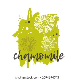 Chamomile concept design. Hand drawn vector illustration. Herbs and spices. Can be used for farmers market, food festival, menu, cafe, restaurant, bar, poster, banner, emblem, sticker, placard.