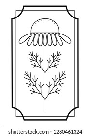 Chamomile, cute medicinal flower. Plant in a decorative frame. Graphic image. Vector illustration.