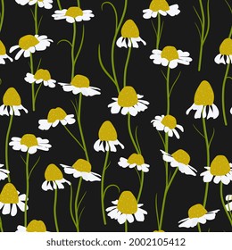  chamomile, daisies floral seamless pattern. Simple and cute. Floral endless print for fabric design. 