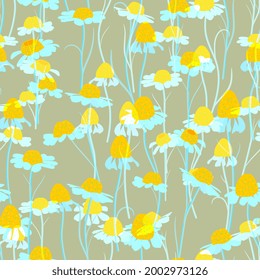  chamomile, daisies floral seamless pattern. Simple and cute. Floral endless print for fabric design. 