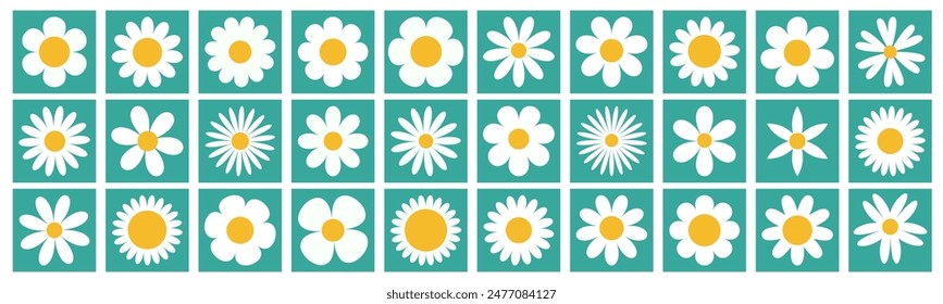 Chamomile daisy big set. White camomile square icon. Growing concept. Cute round flower plant collection. Love card. 30 sign symbol shape. Flat design. Green background. Isolated. Vector illustration