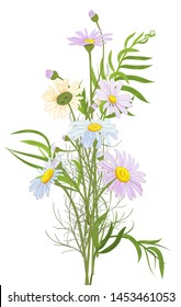 Chamomile (Daisy) bouquet, white flowers, buds, leaves, stems, green twigs, greenery. Realistic botanical illustration on white background in watercolor style for design, vector