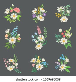 Chamomile or Daisy Bouquets Vector Set. Botanical Decoration Concept