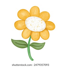 chamomile and daisy Flower, Flower