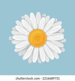 Chamomile. Daisy flower in cartoon style. A bright flower with white petals. Medicinal plant. Vector illustration