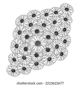 chamomile and daisy flower coloring page design with detailed line art vector graphic.beautiful flowers coloring page with decorative floral background design. blossom petal and leaves sketch.