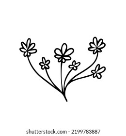 Doodle de flores de camomila o margarita. Ilustración vectorial para impresión, fondos, cubiertas y embalaje. La imagen se puede usar para tarjetas de felicitación, carteles, pegatinas y textiles. Aislado sobre fondo blanco.