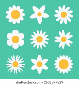 Chamomile daisy flower vector set. White camomile round flower icon. Set of simple, cute botanical floral elements design on a green background. Flat graphic abstract flower head vector illustration.