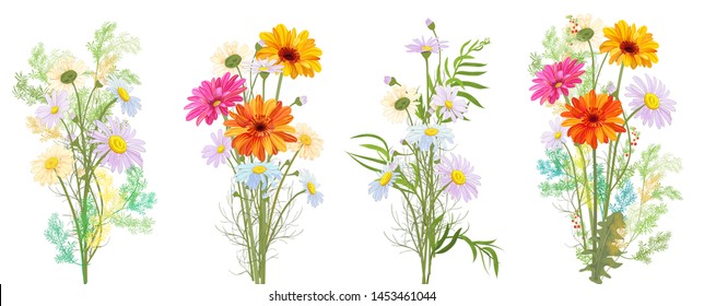 Chamomile (Daisy), Gerbera bouquet, white, red, orange flowers, buds, leaves, stems, green twigs, greenery. Realistic botanical illustration on white background in watercolor style for design, vector