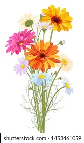 Chamomile (Daisy), Gerbera bouquet, white, red, orange flowers, buds, leaves, stems, green twigs, greenery. Realistic botanical illustration on white background in watercolor style for design, vector