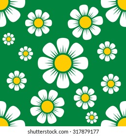  chamomile, daisy pattern composition