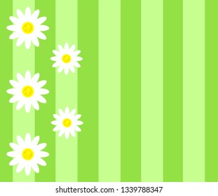 Chamomile, daisy pattern. Floral background. Vector illustration.