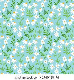 Chamomile and daisy seamless pattern. Wildflower print design with hand drawn flowers on light blue background. Simple field floral pattern for packaging, fabric design. Blossom herbs ornament.