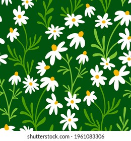 Chamomile and daisy seamless pattern. Wildflower print design with hand drawn flowers on dark background. Simple field floral pattern for packaging, fabric design. Blossom herbs ornament.