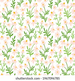 Chamomile and daisy seamless pattern. Wildflower print design with hand drawn flowers on white background. Simple field floral pattern for packaging, fabric design. Blossom herbs ornament.