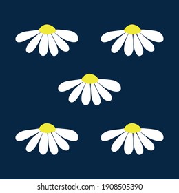 Chamomile daisy set on dark blue background with isolated chamomiles daisies. Vector illustration art.