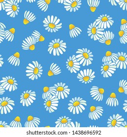 Chamomile, daisy vector pattern. Floral seamless texture. Illustration of seamless chamomile texture, floral background pattern, summer flower daisy