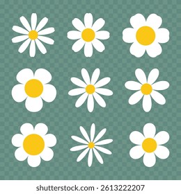 Chamomile, daisy. Vector set of isolated flower icons.