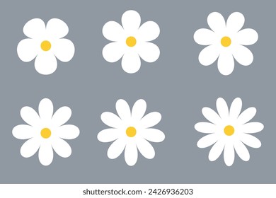 Chamomile, Daisy, White Flowers Vector Set