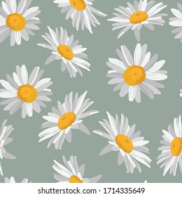 Chamomile Daisy Wildflower Background. Seamless Pattern on grey. Hand Drawn Textile. Spring and Summer Meadow Repeat Illustration. 