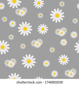 Chamomile of different sizes on a gray background. Floral seamless pattern. Vector illustration