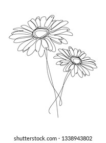 Chamomile is drawn with one black line on a white background. One-line drawing. Continuous line. Vector Eps10