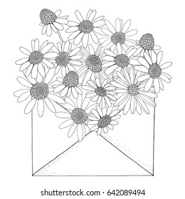 Chamomile in an envelope. Coloring book page for adult and children. Black and white. Doodle style. Vector Chamomile wild field flower.