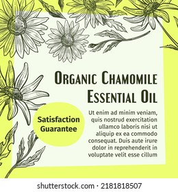 Chamomile essential oi, organic and natural product. Herbal essence fragrance for perfumed lotions, medical and cosmetics ingredients for beauty and space care treatment. Vector in flat style