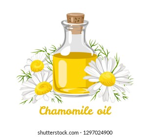 Chamomile essential oil. Glass bottle with chamomile oil and fresh flowers isolated on white background. Vector illustration in cartoon flat style.