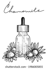 Chamomile Essential Oil, Monochrome Vector