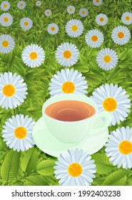 Chamomile field cup with drink, vector illustration EPS 10