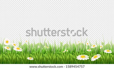 Similar – Image, Stock Photo White Flowers Environment