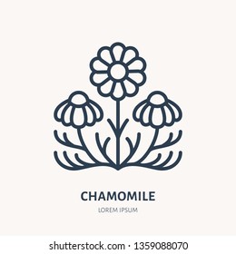 Chamomile flat line icon. Medicinal plant daisy chain vector illustration. Thin sign for herbal medicine, essential oil logo.