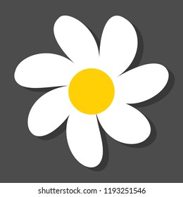 Chamomile flat vector icon on a grey background with shadow.