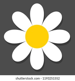 Chamomile flat vector icon on a grey background with shadow.