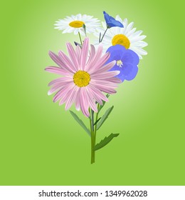Chamomile and flax flowers. Bouquet of daisies on green background, vector