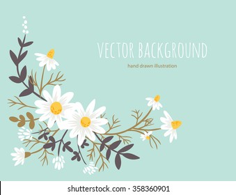 chamomile. floral background