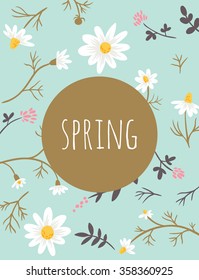 chamomile. floral background
