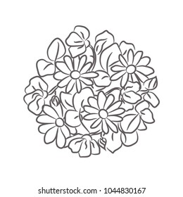 Chamomile floral rosette vector isolated composition. Line style hand-drawn flowers in a circle shape placement.