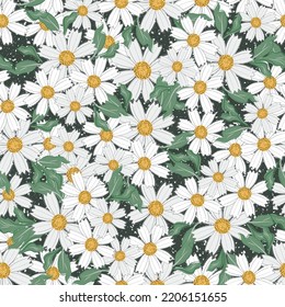 Chamomile floral seamless vector pattern background. Scattered groups of flower heads of ancient medicinal herb textured dark backdrop. Painterly botanical flora. Nature garden flowers for packaging