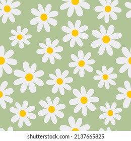 Chamomile. Florar seamless pattern. Green background. Vector