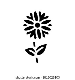 chamomile flower aromatherapy glyph icon vector. chamomile flower aromatherapy sign. isolated contour symbol black illustration