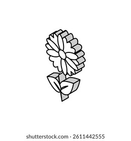 chamomile flower aromatherapy isometric icon vector. chamomile flower aromatherapy sign. isolated symbol illustration