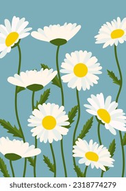 Chamomile flower background.Eps 10 vector.